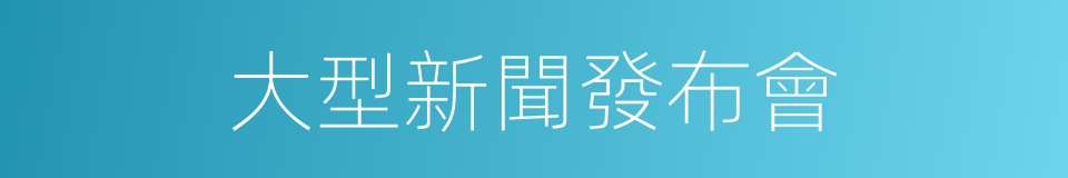 大型新聞發布會的同義詞