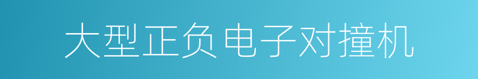 大型正负电子对撞机的同义词