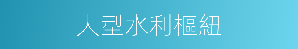 大型水利樞紐的同義詞