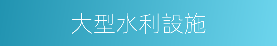 大型水利設施的同義詞