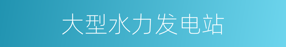 大型水力发电站的同义词