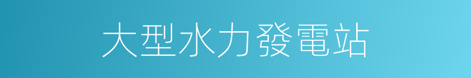 大型水力發電站的同義詞