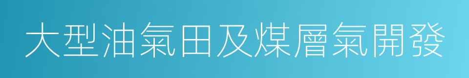 大型油氣田及煤層氣開發的同義詞