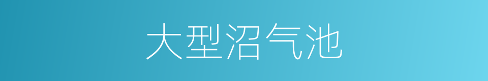 大型沼气池的同义词