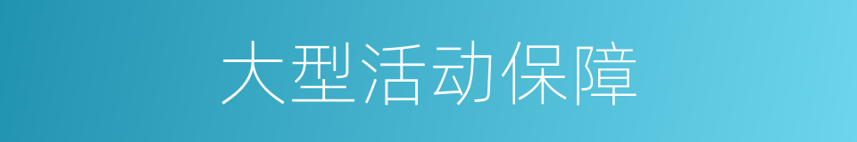 大型活动保障的同义词