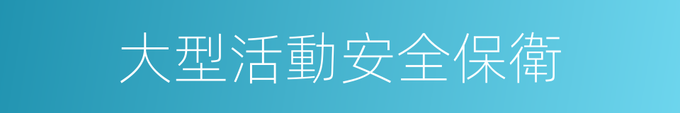 大型活動安全保衛的同義詞