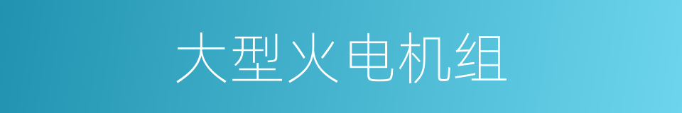 大型火电机组的同义词