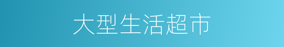 大型生活超市的同义词