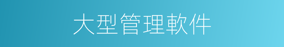 大型管理軟件的同義詞