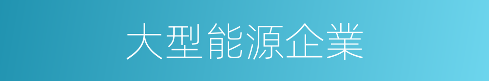 大型能源企業的同義詞