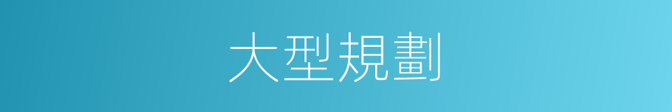 大型規劃的同義詞