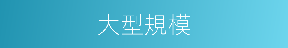大型規模的同義詞