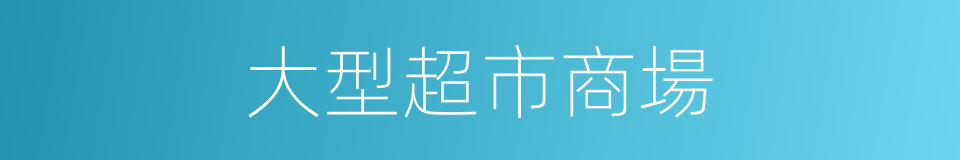 大型超市商場的同義詞