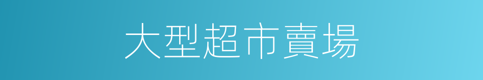 大型超市賣場的同義詞