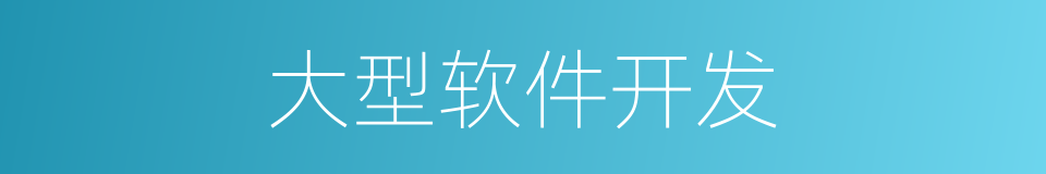 大型软件开发的同义词