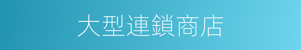 大型連鎖商店的同義詞