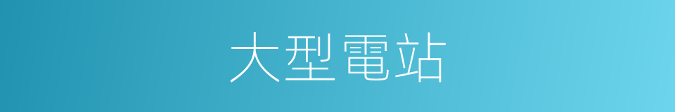 大型電站的同義詞