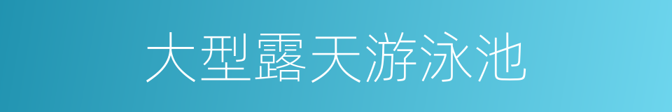 大型露天游泳池的同义词