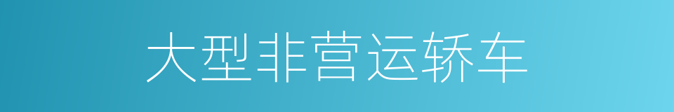 大型非营运轿车的同义词