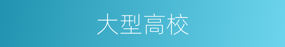 大型高校的同义词