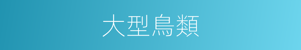 大型鳥類的同義詞