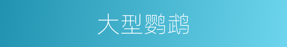 大型鹦鹉的同义词