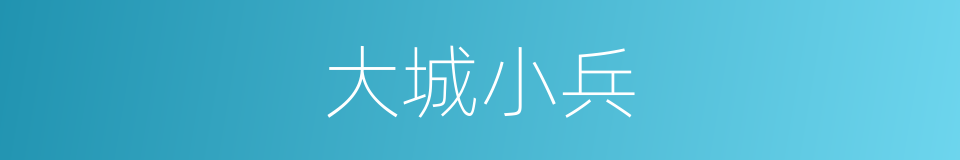 大城小兵的同义词
