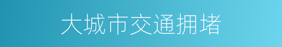 大城市交通拥堵的同义词