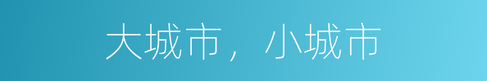 大城市，小城市的同义词