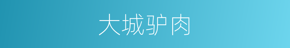 大城驴肉的同义词