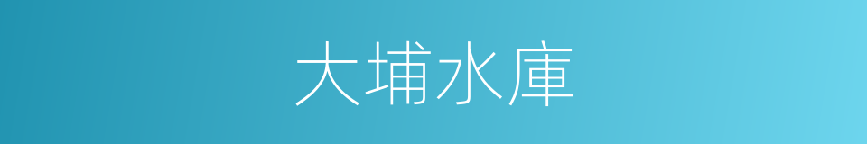 大埔水庫的同義詞