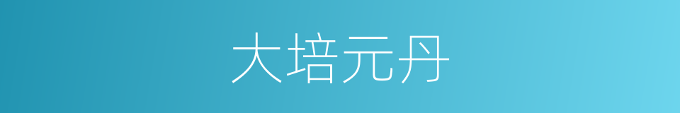 大培元丹的同义词