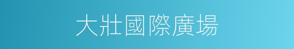 大壯國際廣場的同義詞