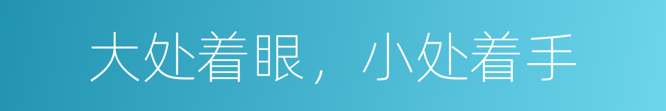 大处着眼，小处着手的同义词