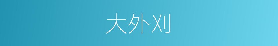 大外刈的同义词