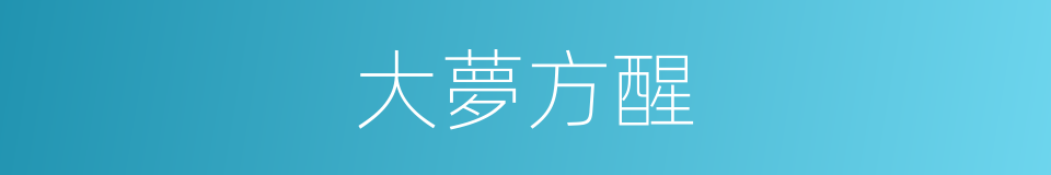 大夢方醒的意思