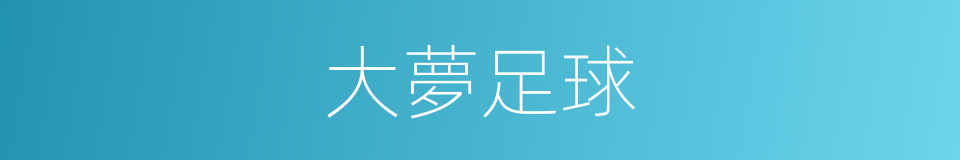 大夢足球的同義詞