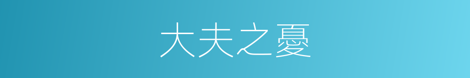 大夫之憂的同義詞