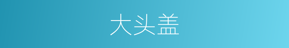 大头盖的同义词