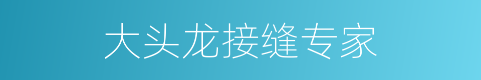 大头龙接缝专家的同义词