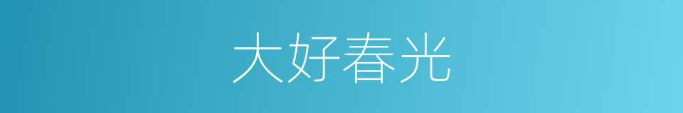 大好春光的同义词