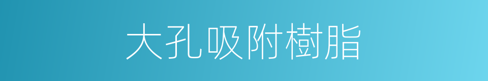 大孔吸附樹脂的同義詞