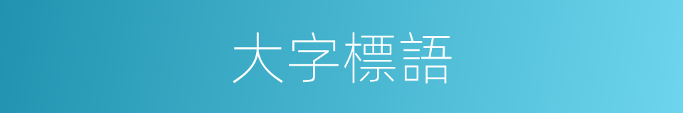 大字標語的同義詞
