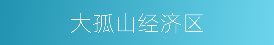 大孤山经济区的同义词