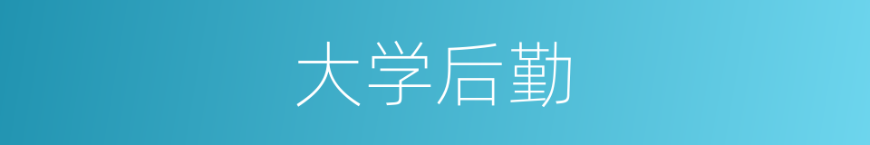 大学后勤的同义词