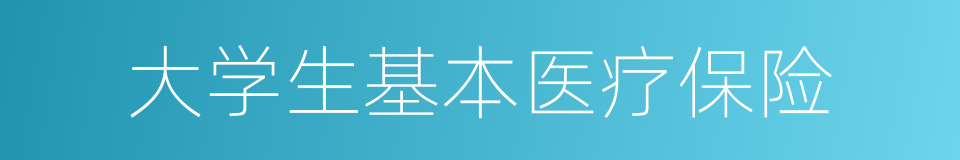 大学生基本医疗保险的同义词