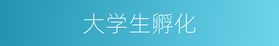 大学生孵化的同义词