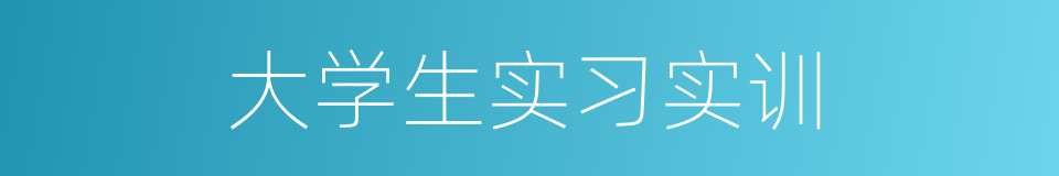 大学生实习实训的同义词