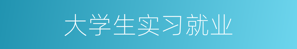 大学生实习就业的同义词