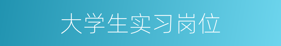 大学生实习岗位的同义词